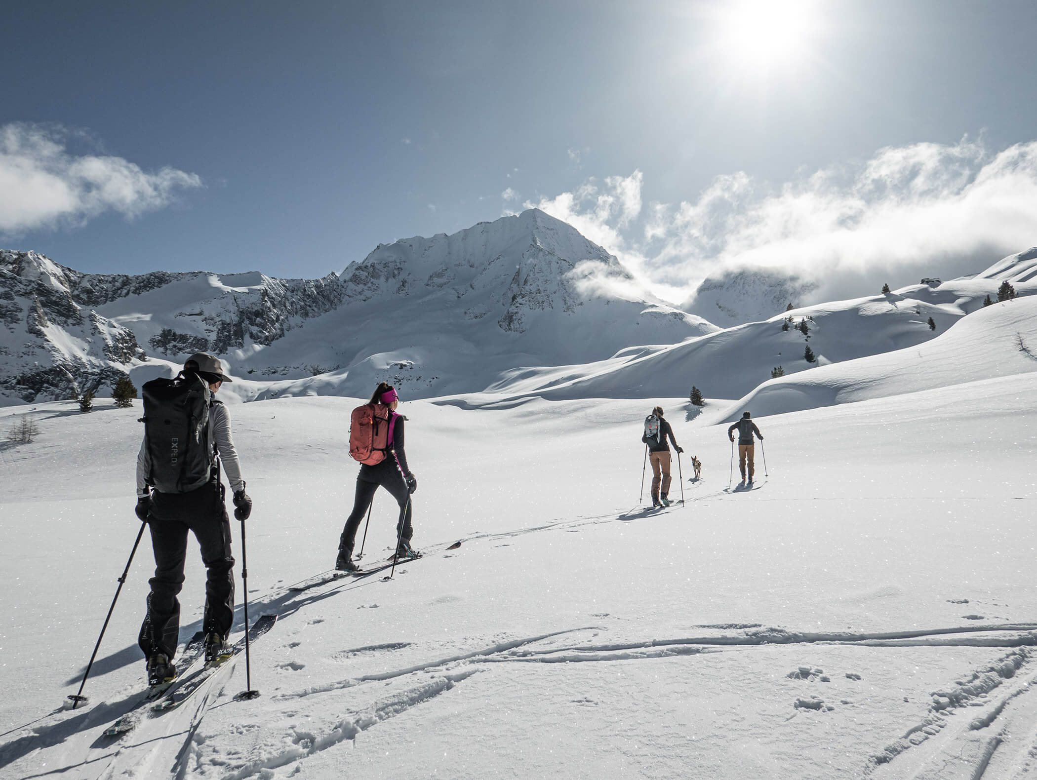 Quattro scialpinisti e un cane nella neve fresca sulla strada per le montagne della Valle Aurina - Pensione Oberwirt