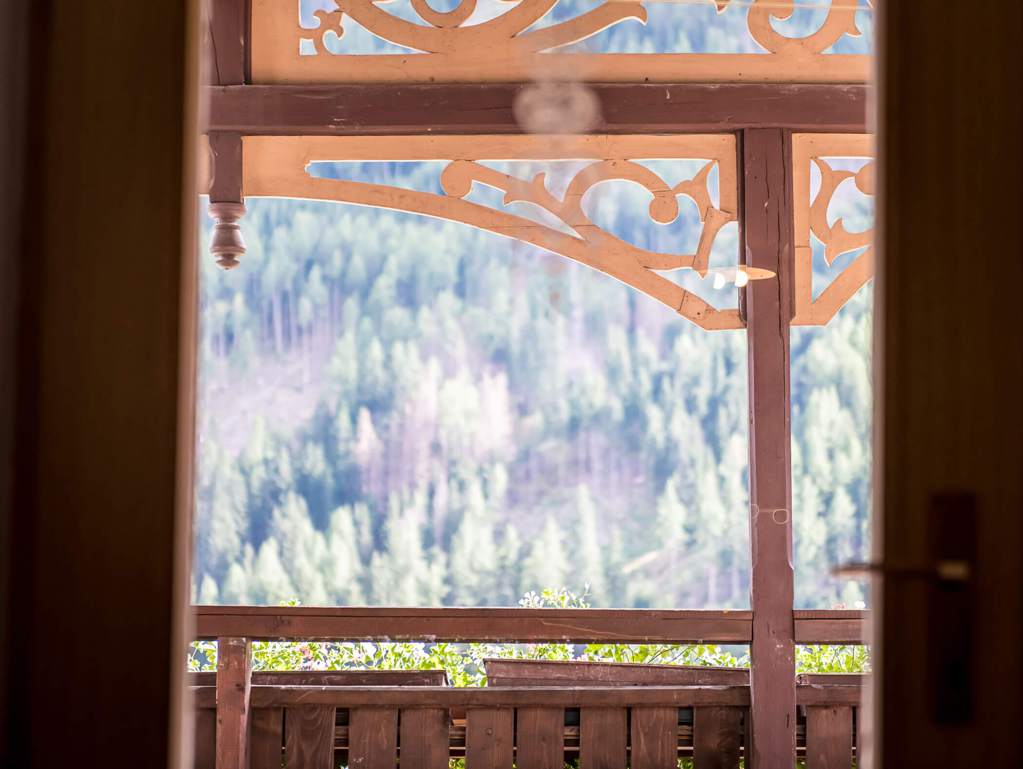 Balcony of the Pension Oberwirt with balcony flowers and view of the forest