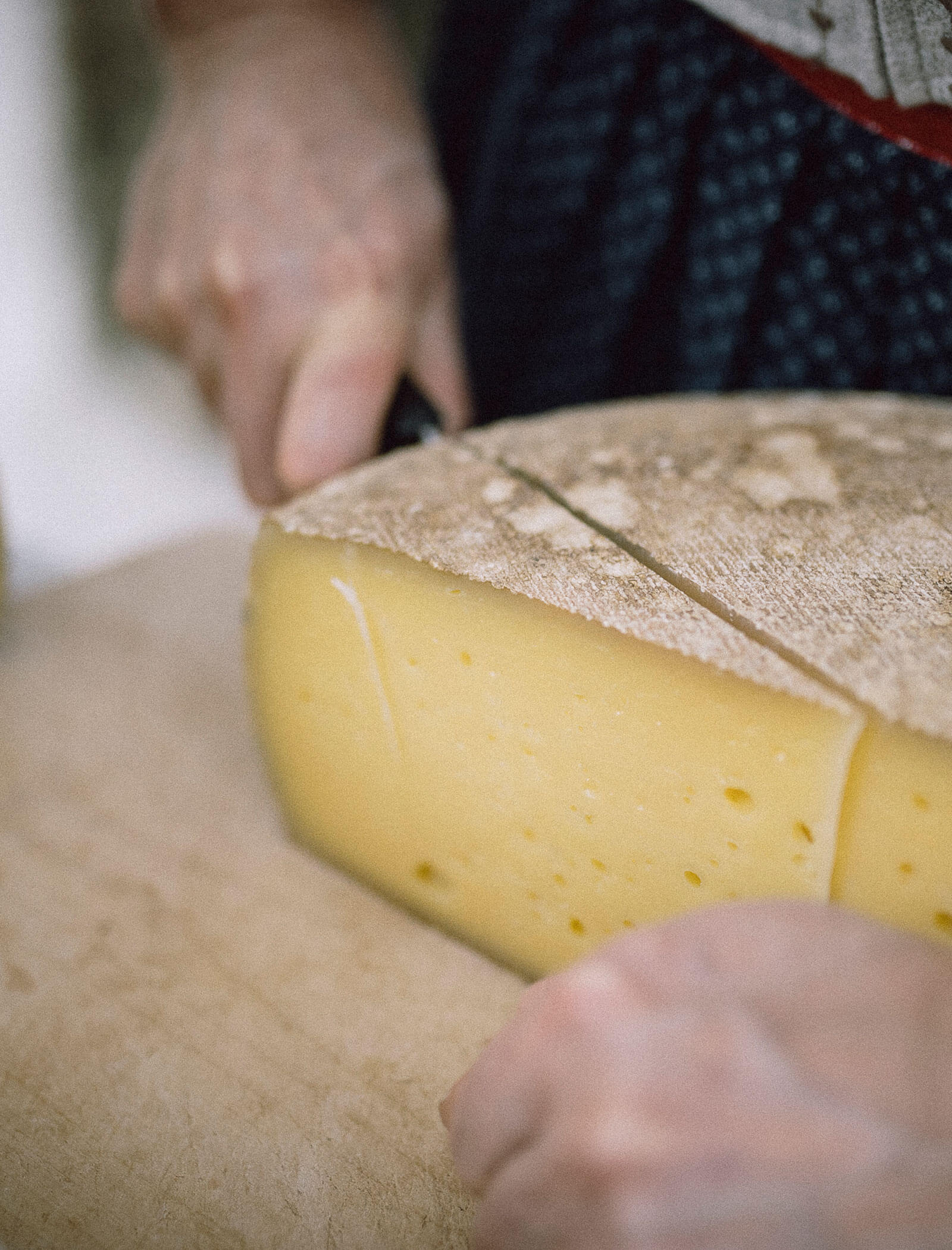 Gastgeber schneidet Käse auf - Pension Oberwirt